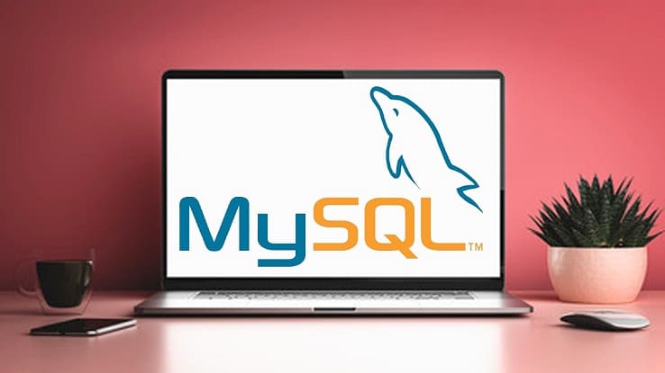 the-complete-mysql-bootcamp-learn-sql-beginner-to-expert